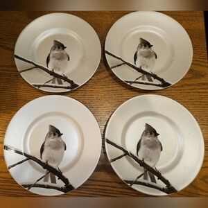 Pier 1 Shimmery Monochrome Titmouse Dessert Plates - set of 5